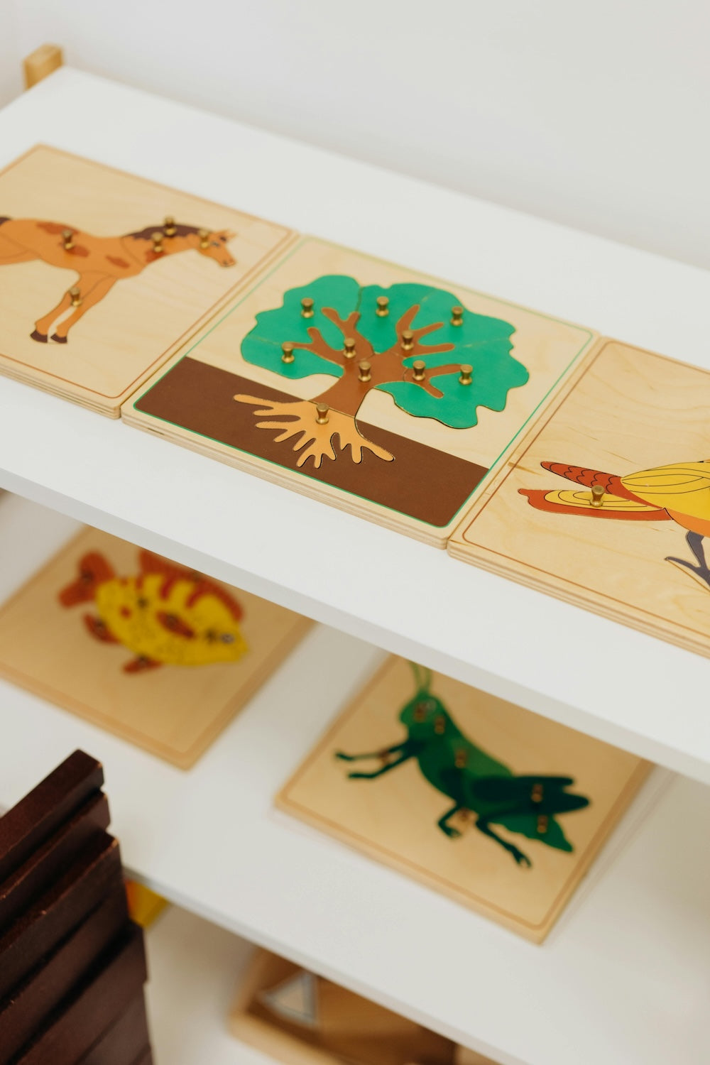 Activity Books