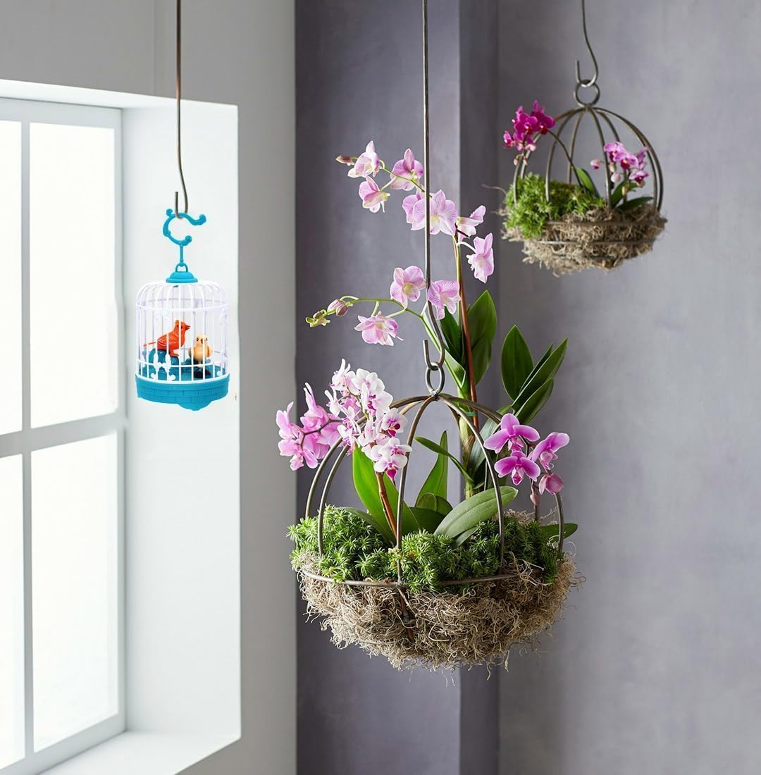 Talking Bird Toy for Kids | Interactive Toy