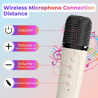 High Quality Bluetooth Speaker with Karaoke Mic (Double Mic)